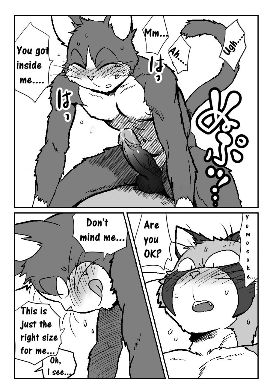 Neko X Neko porn comic picture 19