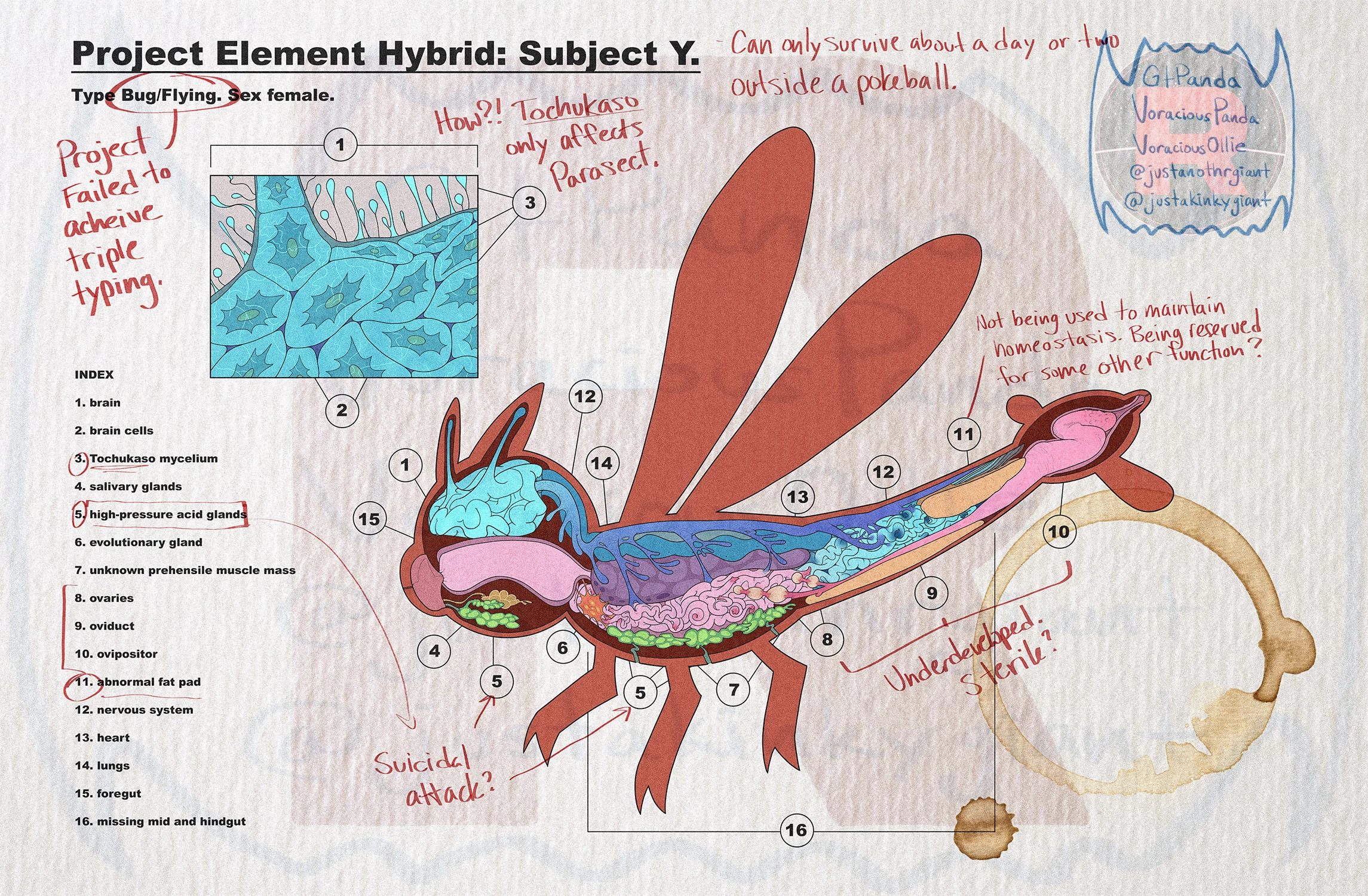 Pokémon Infestation porn comic picture 32