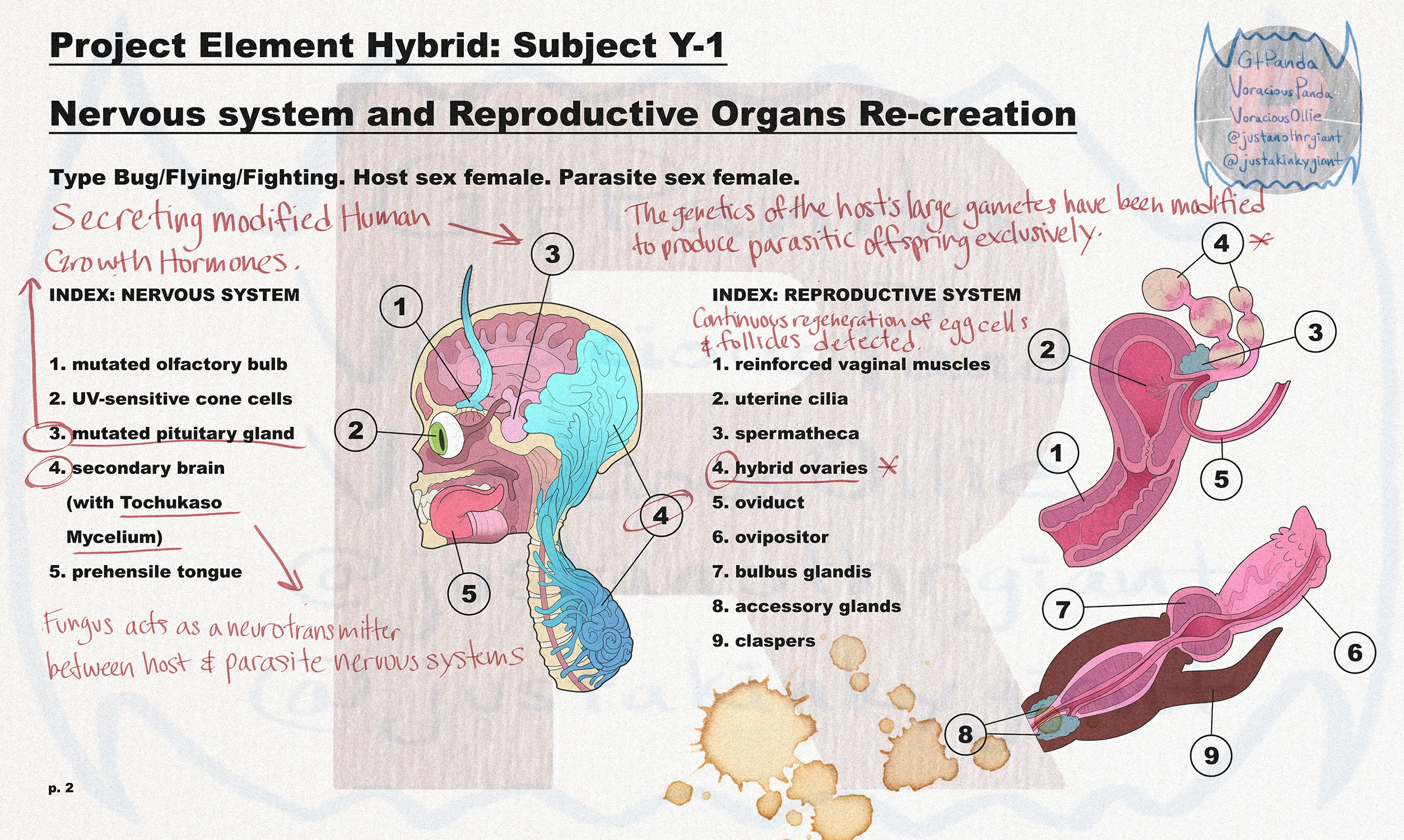 Pokémon Infestation porn comic picture 34