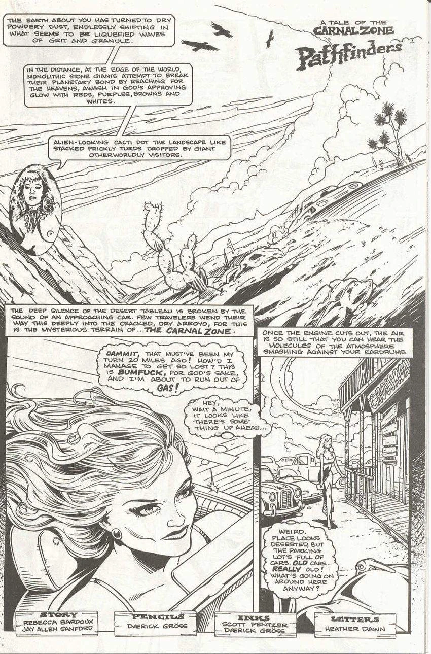 PornStar Fantasies porn comic picture 2