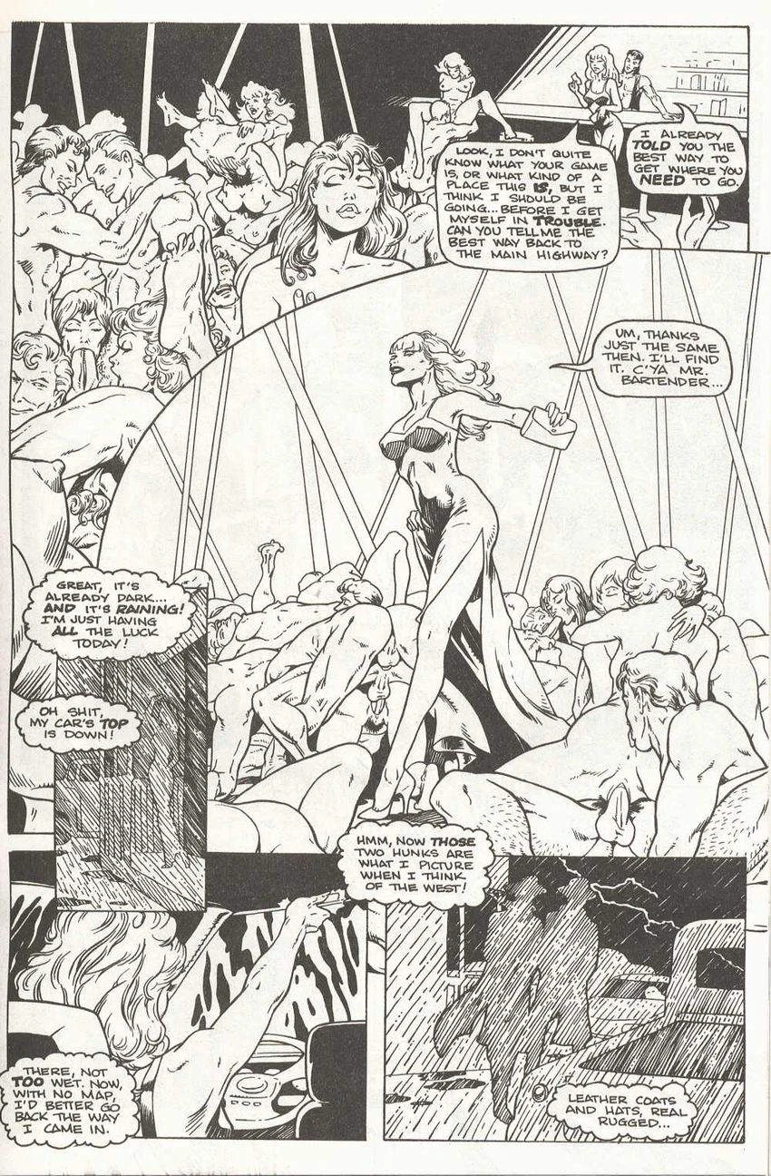 PornStar Fantasies porn comic picture 6