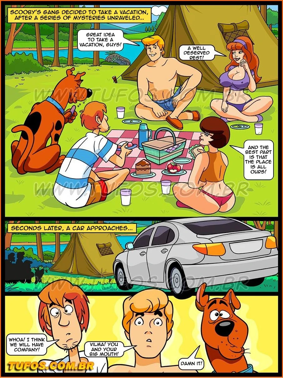 Scooby-Toon #8: On Vacation in the Camp porn comic picture 2