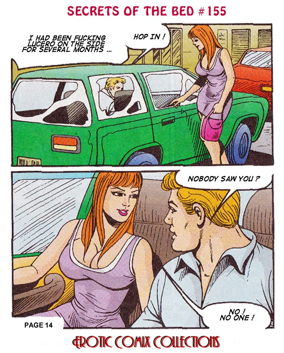 SECRETS OF THRE BED porn comic picture 16