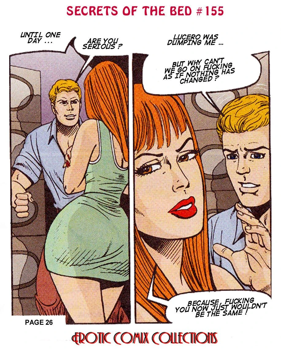 SECRETS OF THRE BED porn comic picture 28