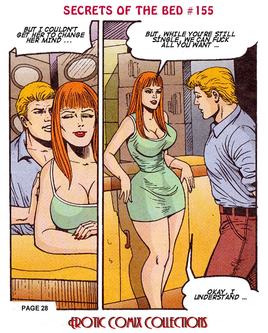 SECRETS OF THRE BED porn comic picture 30
