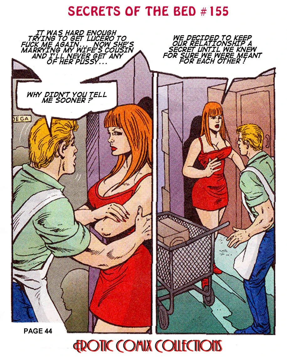 SECRETS OF THRE BED porn comic picture 46
