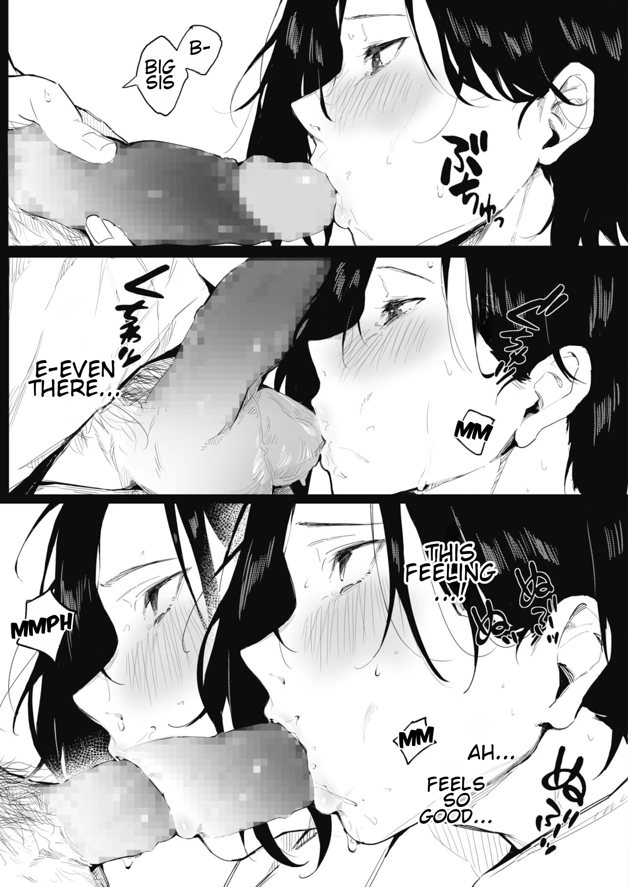 Shimai no Himitsu porn comic picture 11