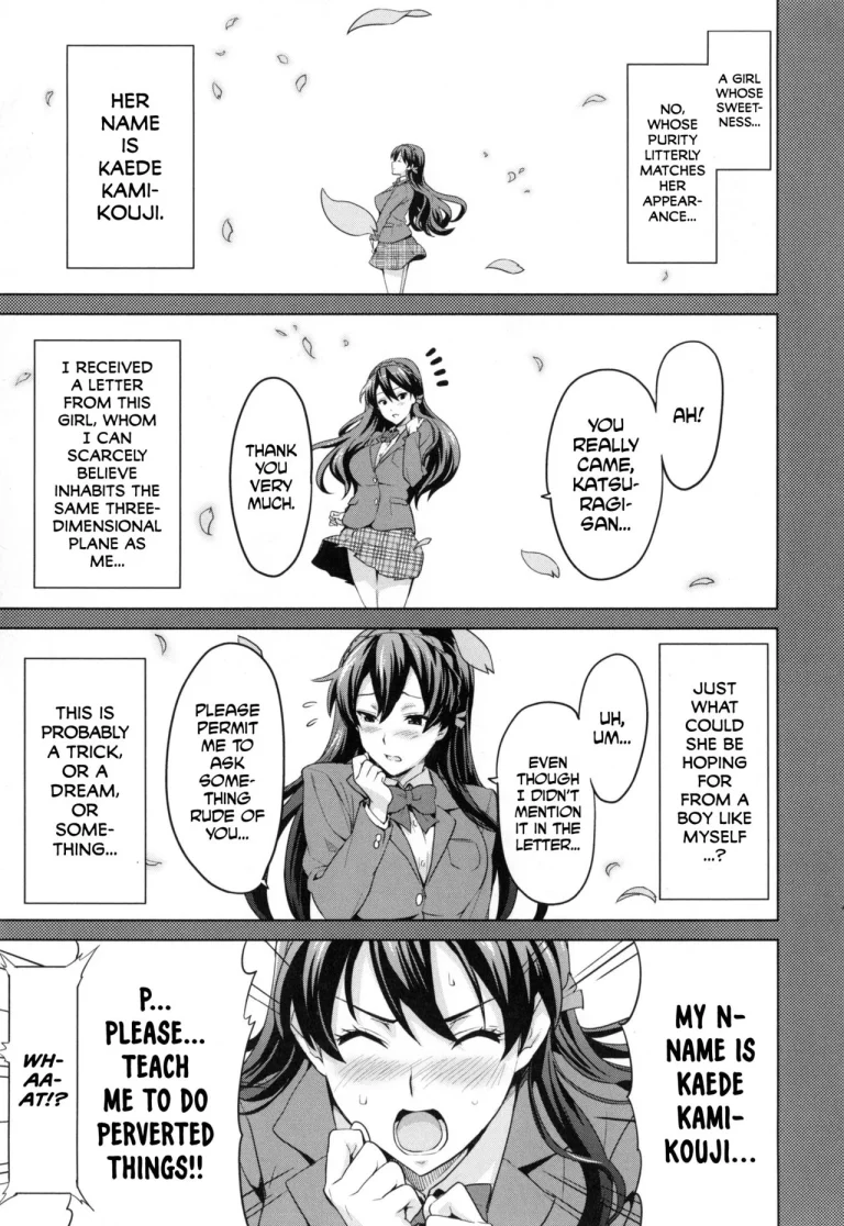 Sister Breeder Ch. 1-4, 7 porn comic picture 82