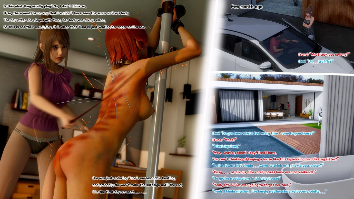 SM Diary porn comic picture 23