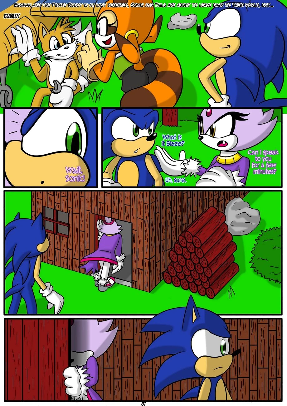 Sonic x Blaze porn comic picture 1