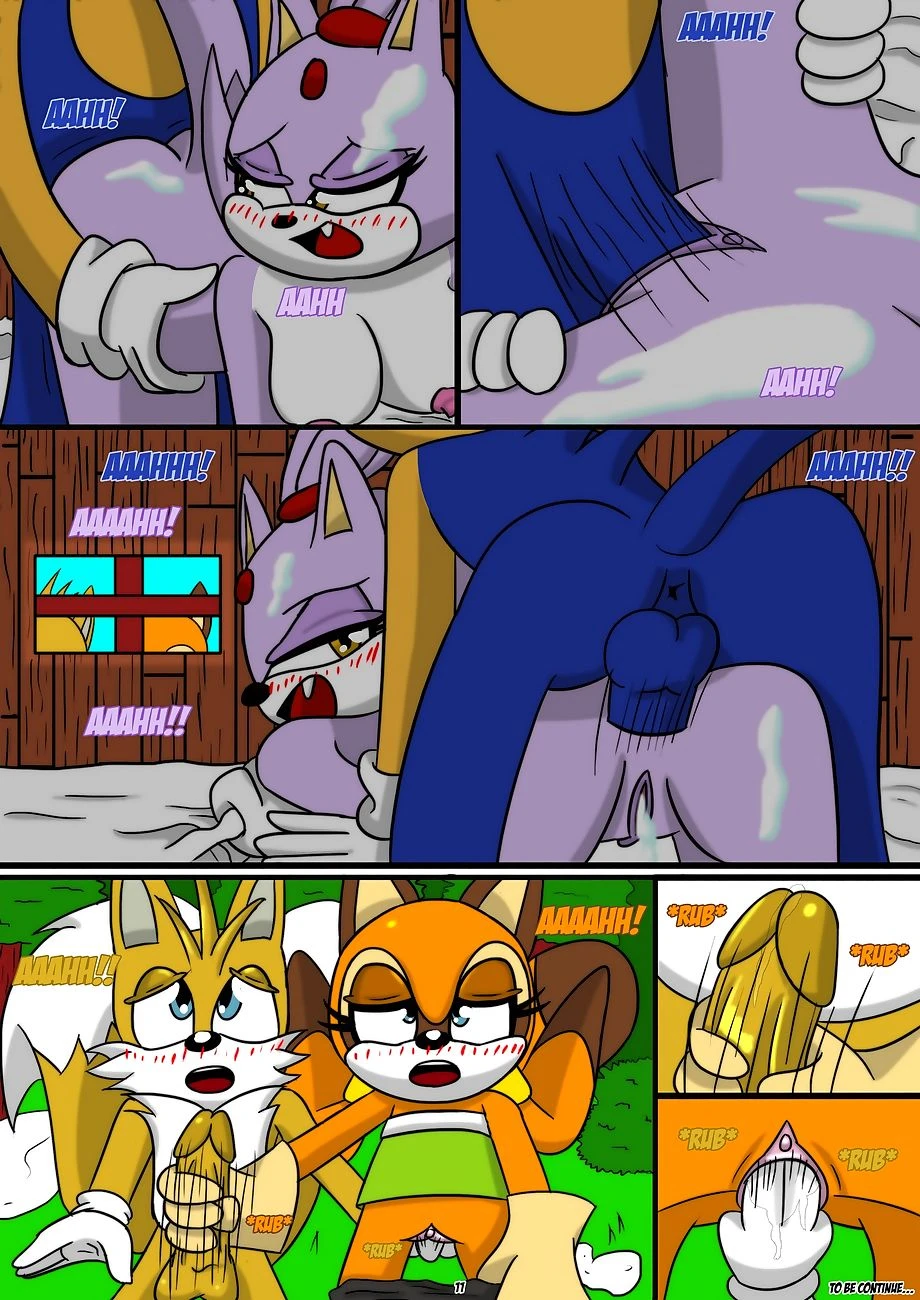 Sonic x Blaze porn comic picture 11