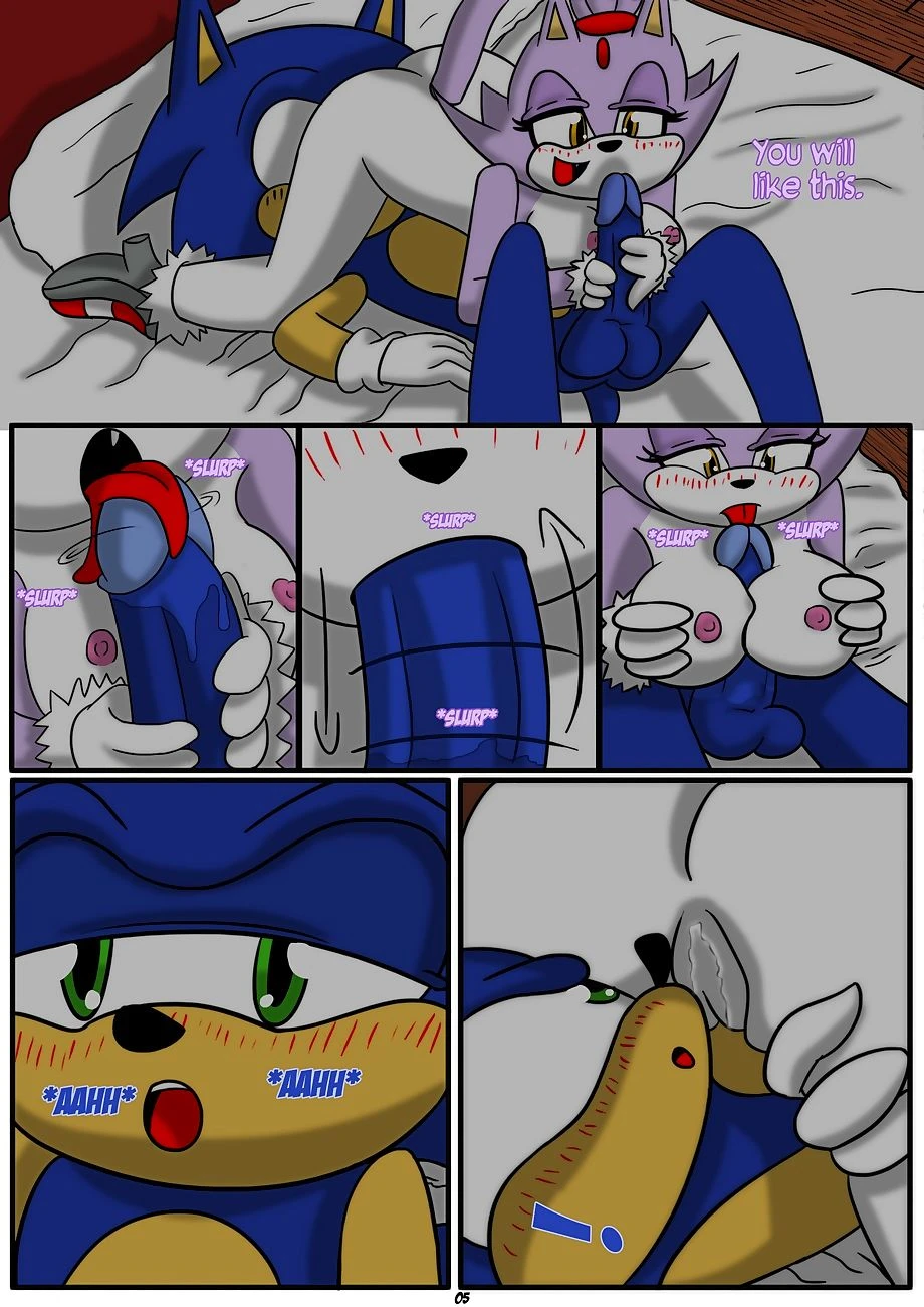 Sonic x Blaze porn comic picture 5