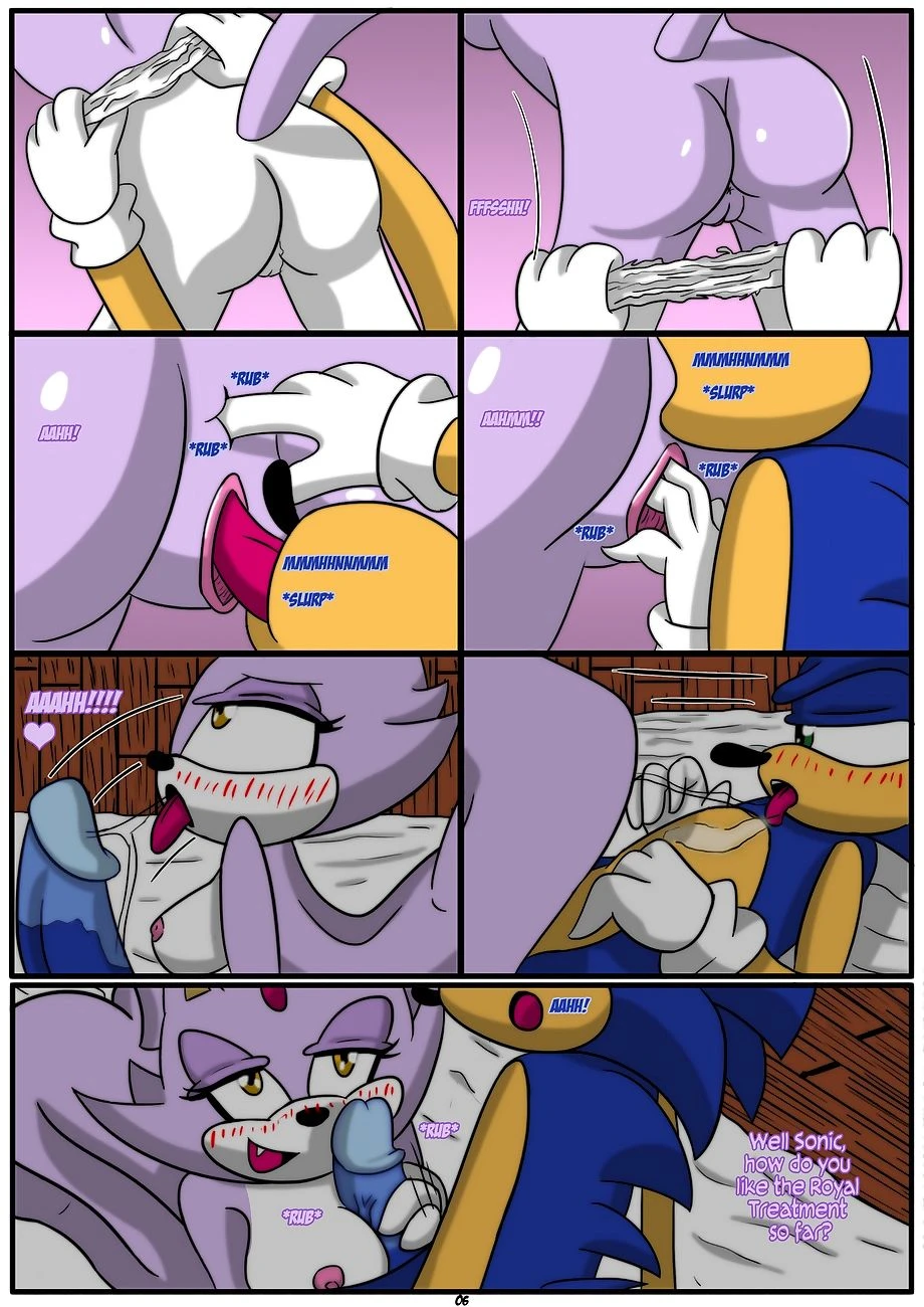 Sonic x Blaze porn comic picture 6