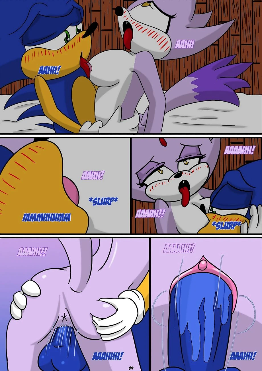 Sonic x Blaze porn comic picture 9