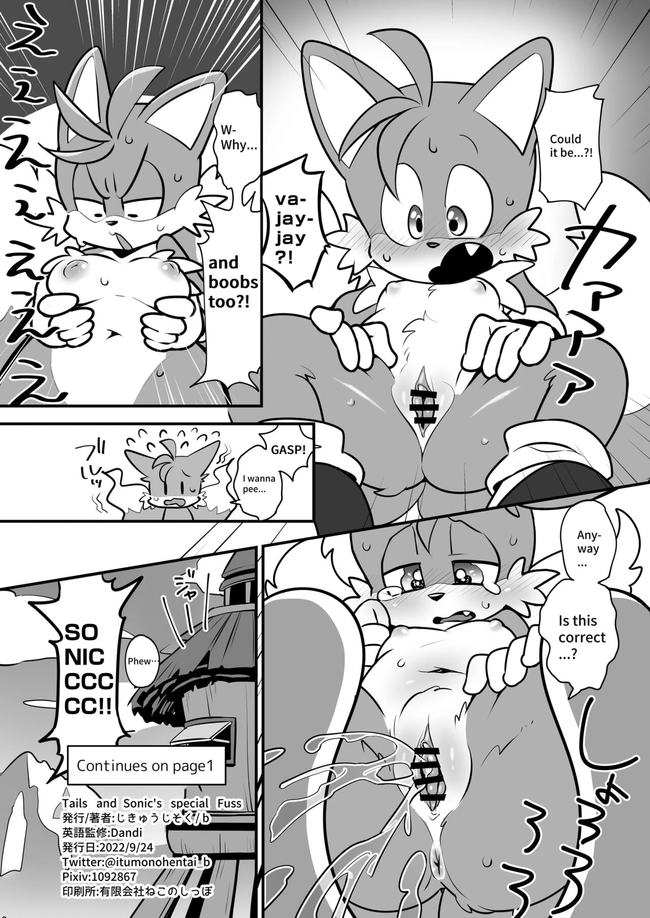 Tails and Sonics special fuss porn comic picture 17