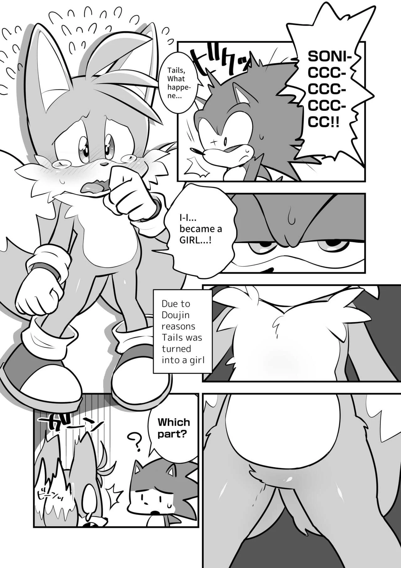 Tails and Sonics special fuss porn comic picture 2