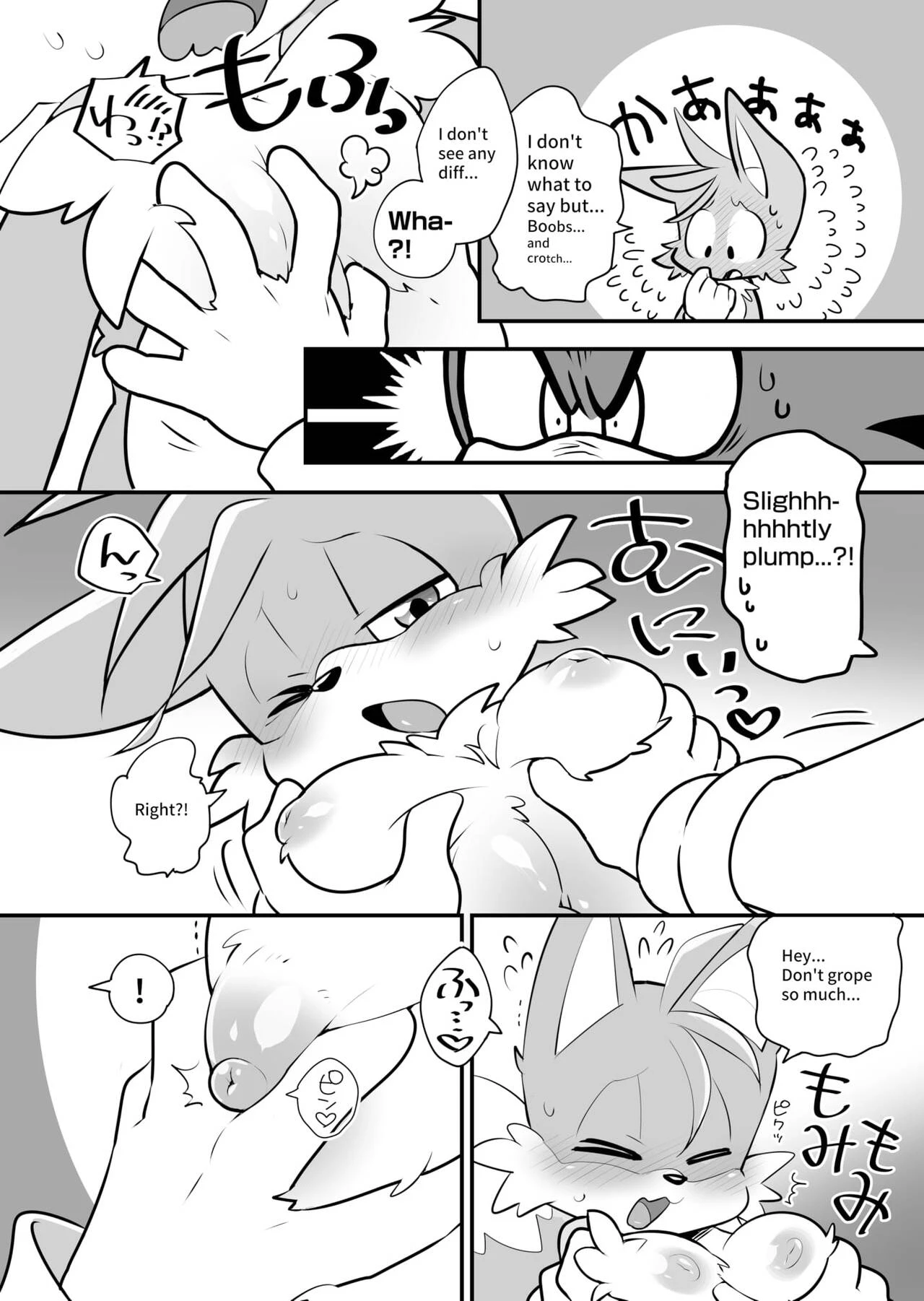 Tails and Sonics special fuss porn comic picture 3
