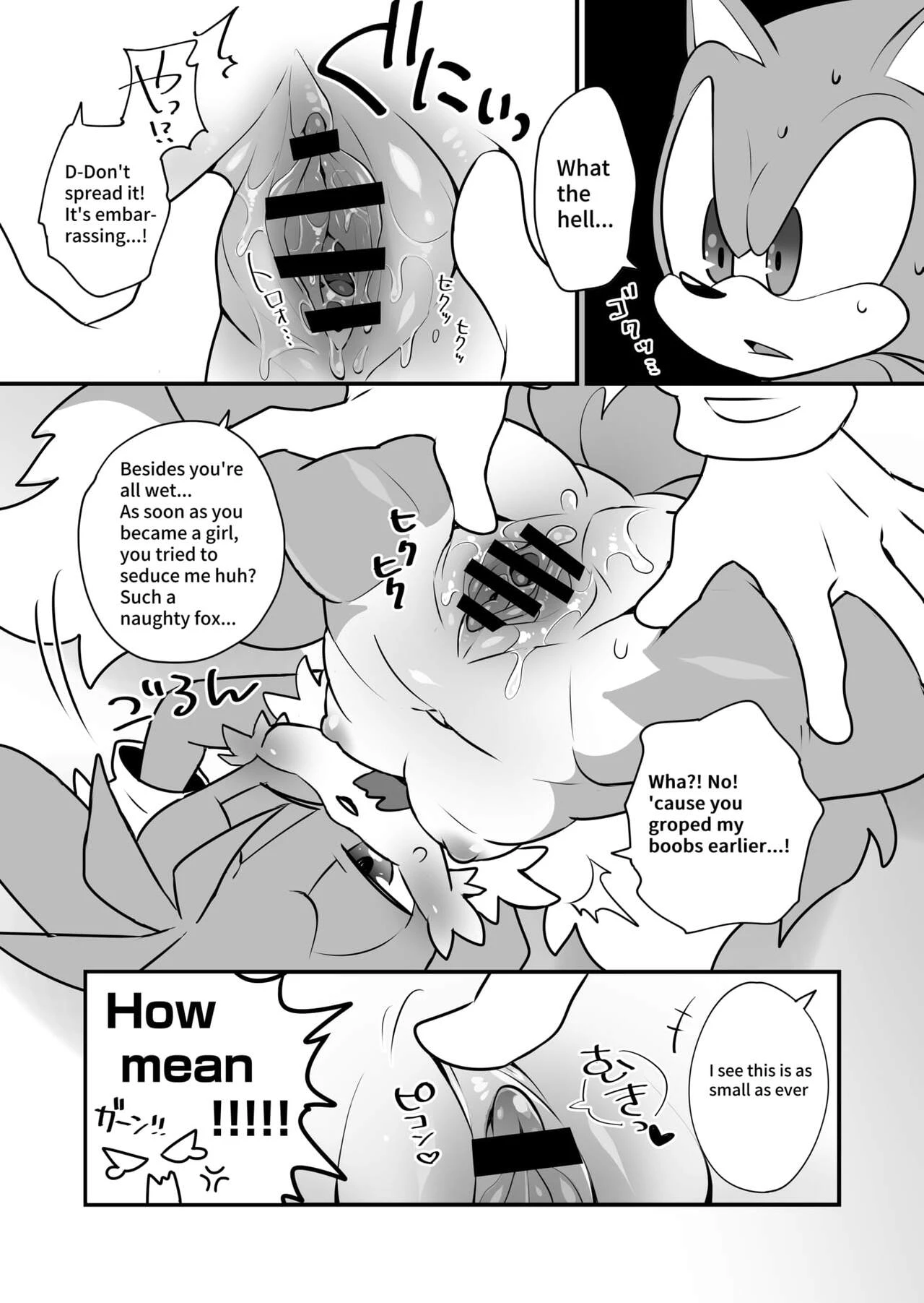 Tails and Sonics special fuss porn comic picture 7