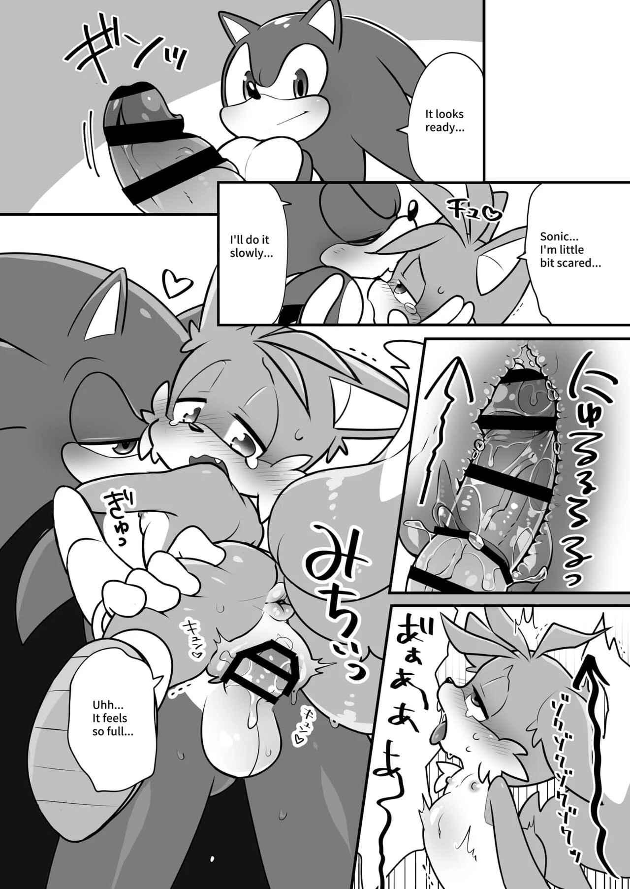 Tails and Sonics special fuss porn comic picture 9