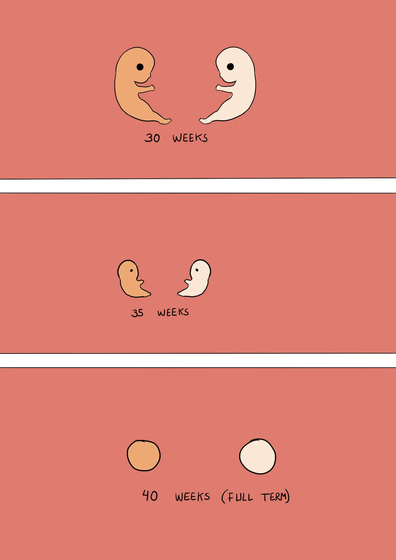 The Cycle Of Life porn comic picture 12