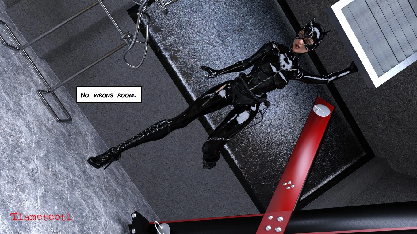 The Disastrcus Misadventures Of Catwoman porn comic picture 5