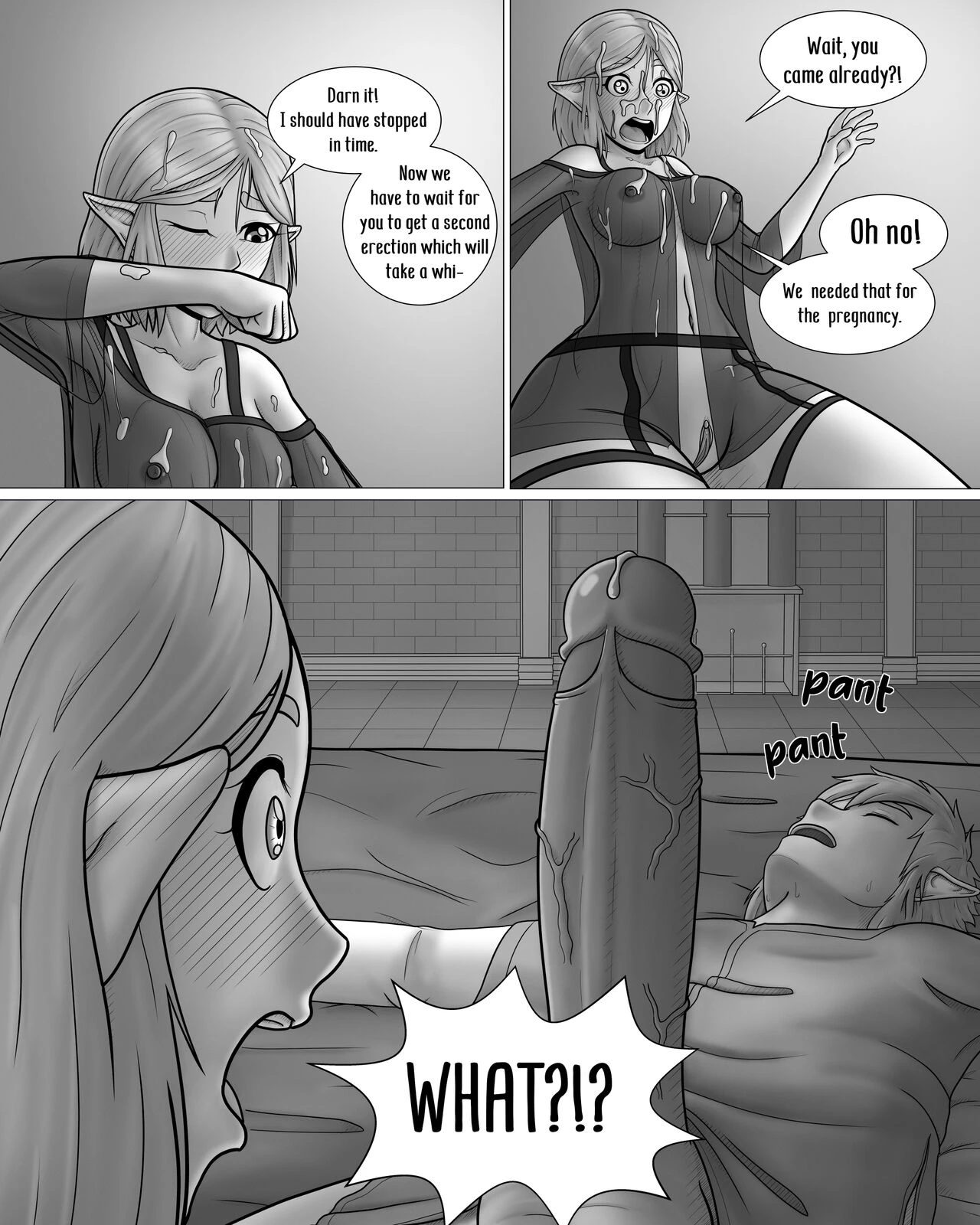 The Legend of Zelda: A Night with the Princess porn comic picture 13