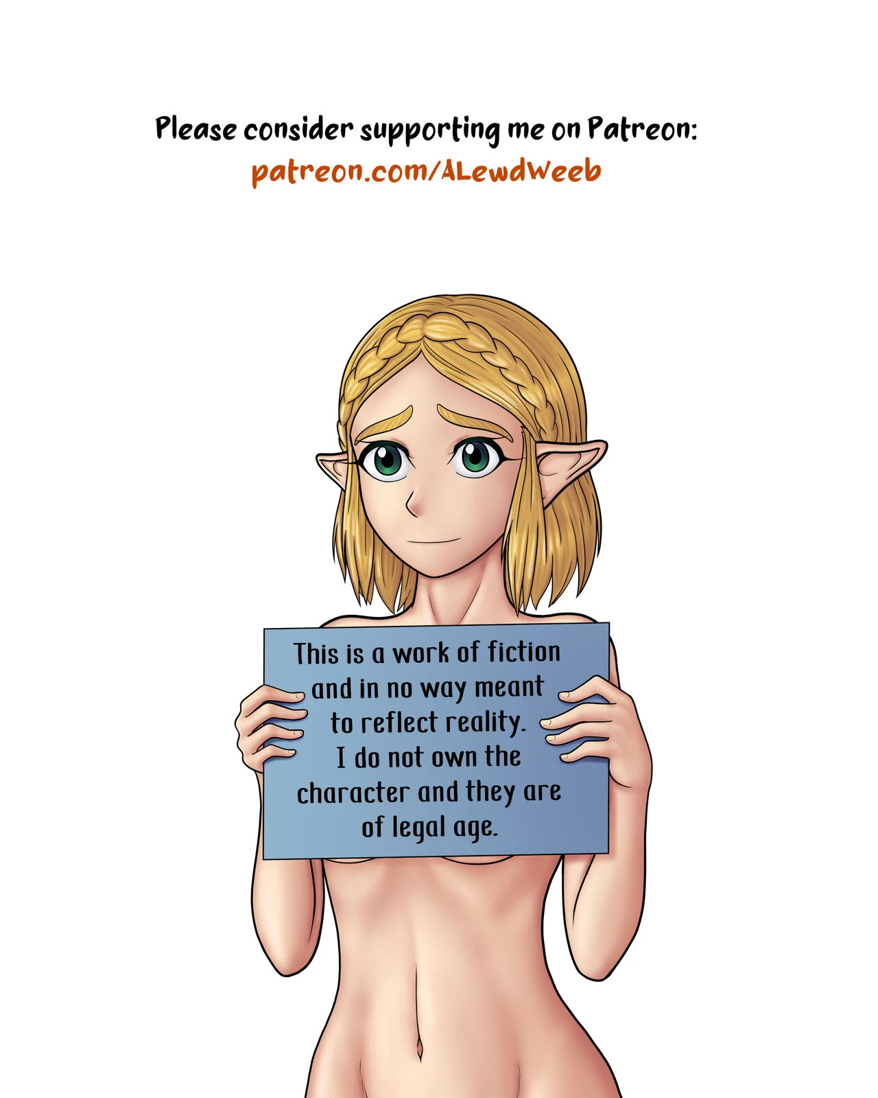 The Legend of Zelda: A Night with the Princess porn comic picture 2