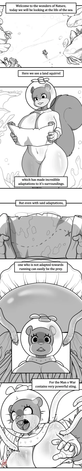 The Wonders of Nature: Land Squirrel porn comic picture 1