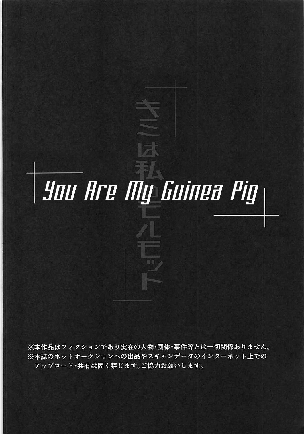 You are my guinea pig porn comic picture 3