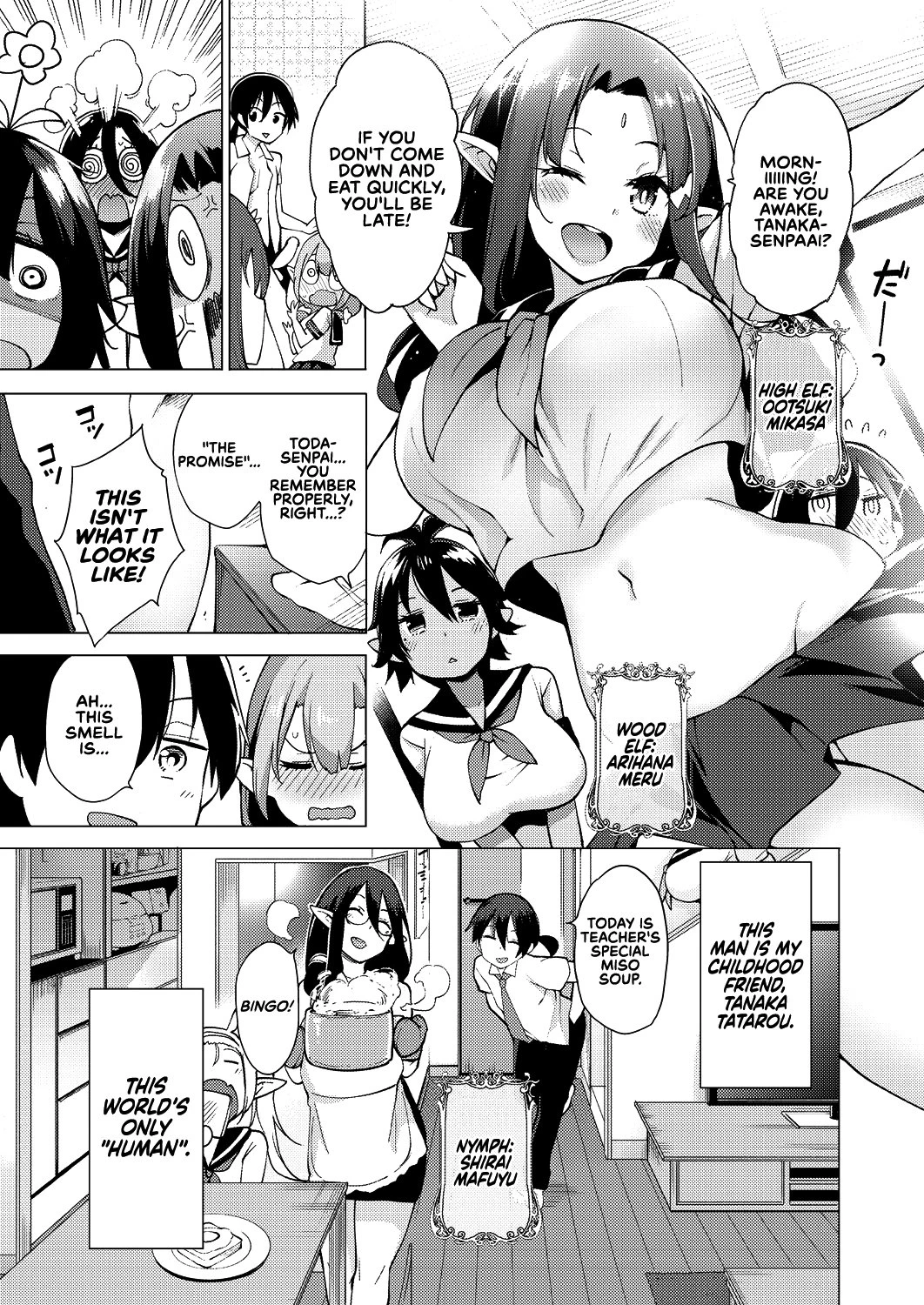 Yousei Harem Daibakuhatsu | Fairy Harem Explosion Ch. 1 porn comic picture 3