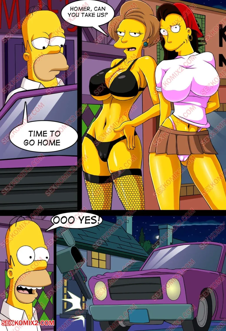 Adventures of Anastasia. Meet me Springfield. 1-2 porn comic picture 13