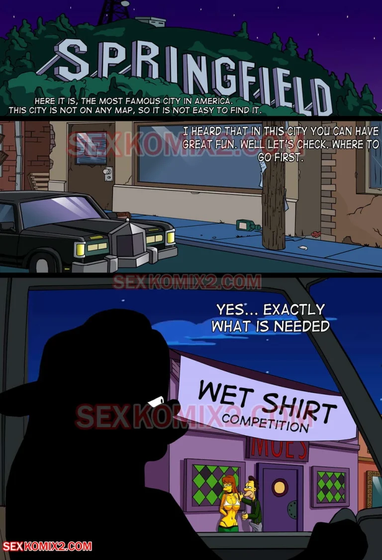 Adventures of Anastasia. Meet me Springfield. 1-2 porn comic picture 2