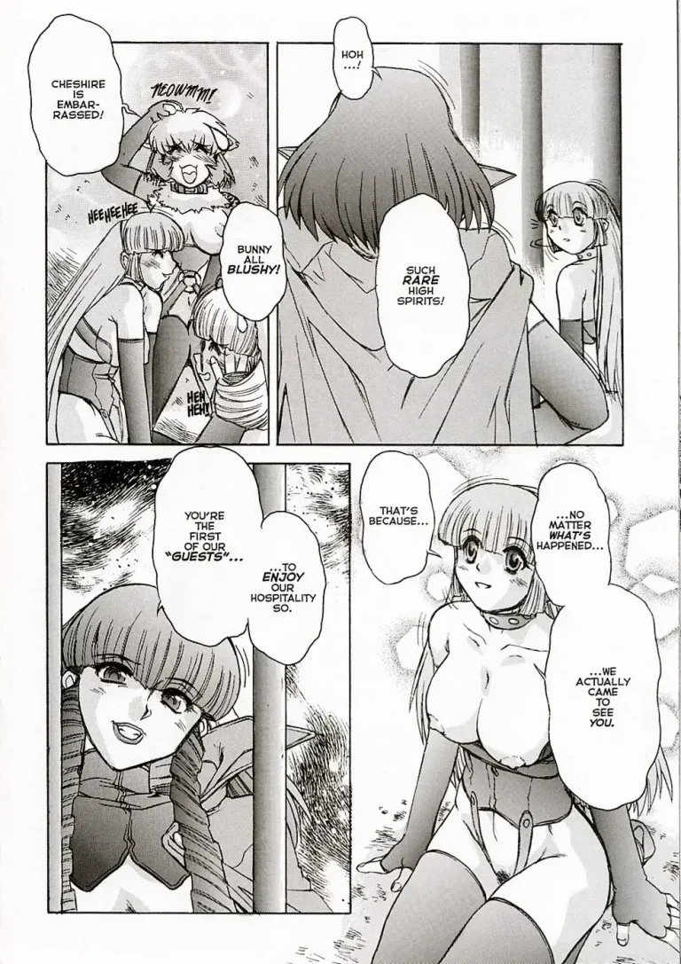 Alice in Sexland porn comic picture 300