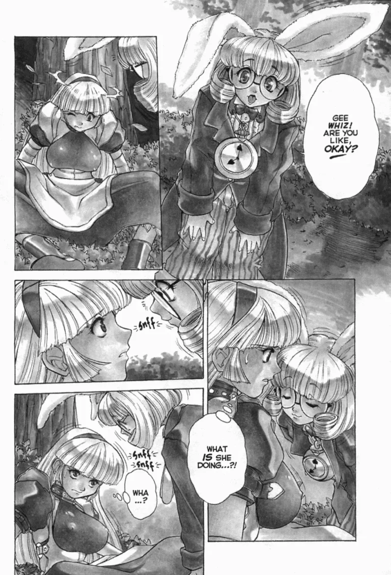 Alice in Sexland porn comic picture 7