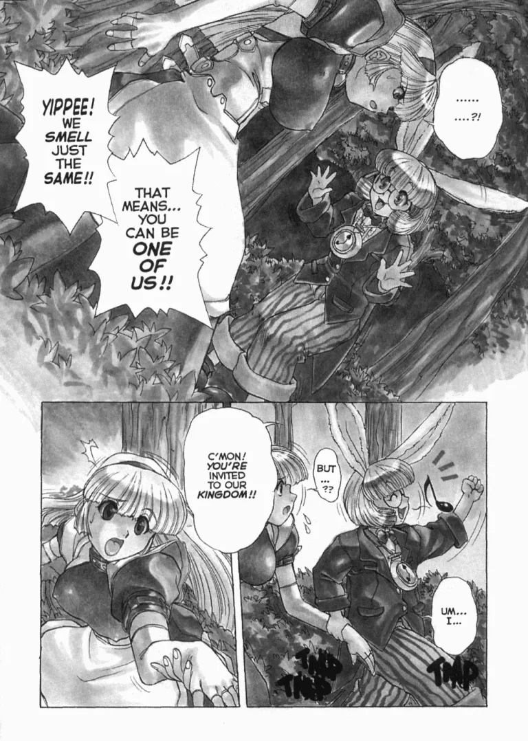 Alice in Sexland porn comic picture 8