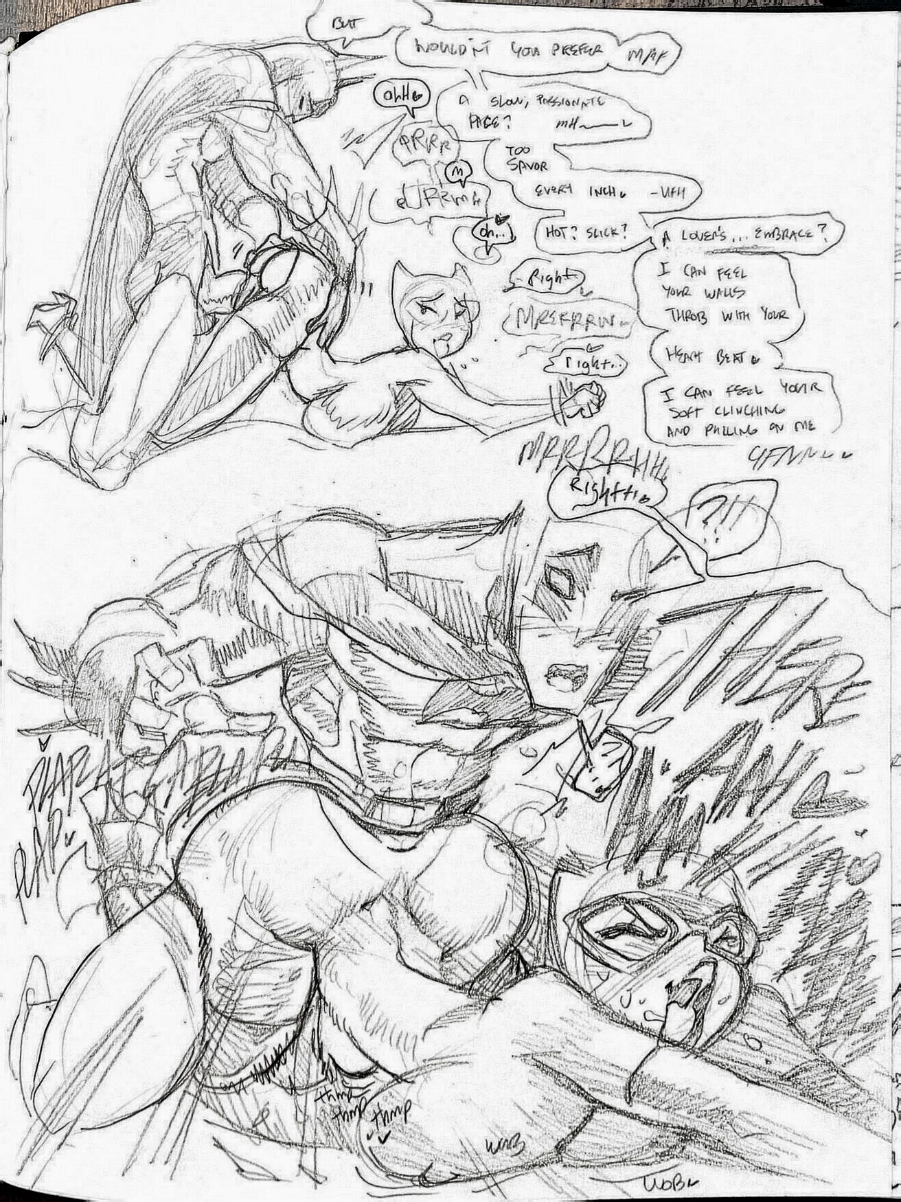 Batman x Catwoman Goof Of porn comic picture 7