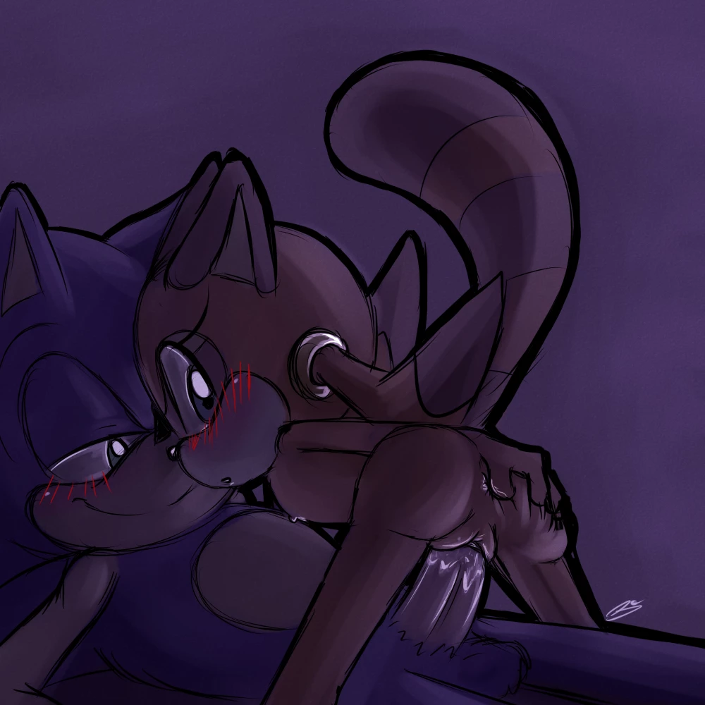 Bluechika Sonic porn porn comic picture 3