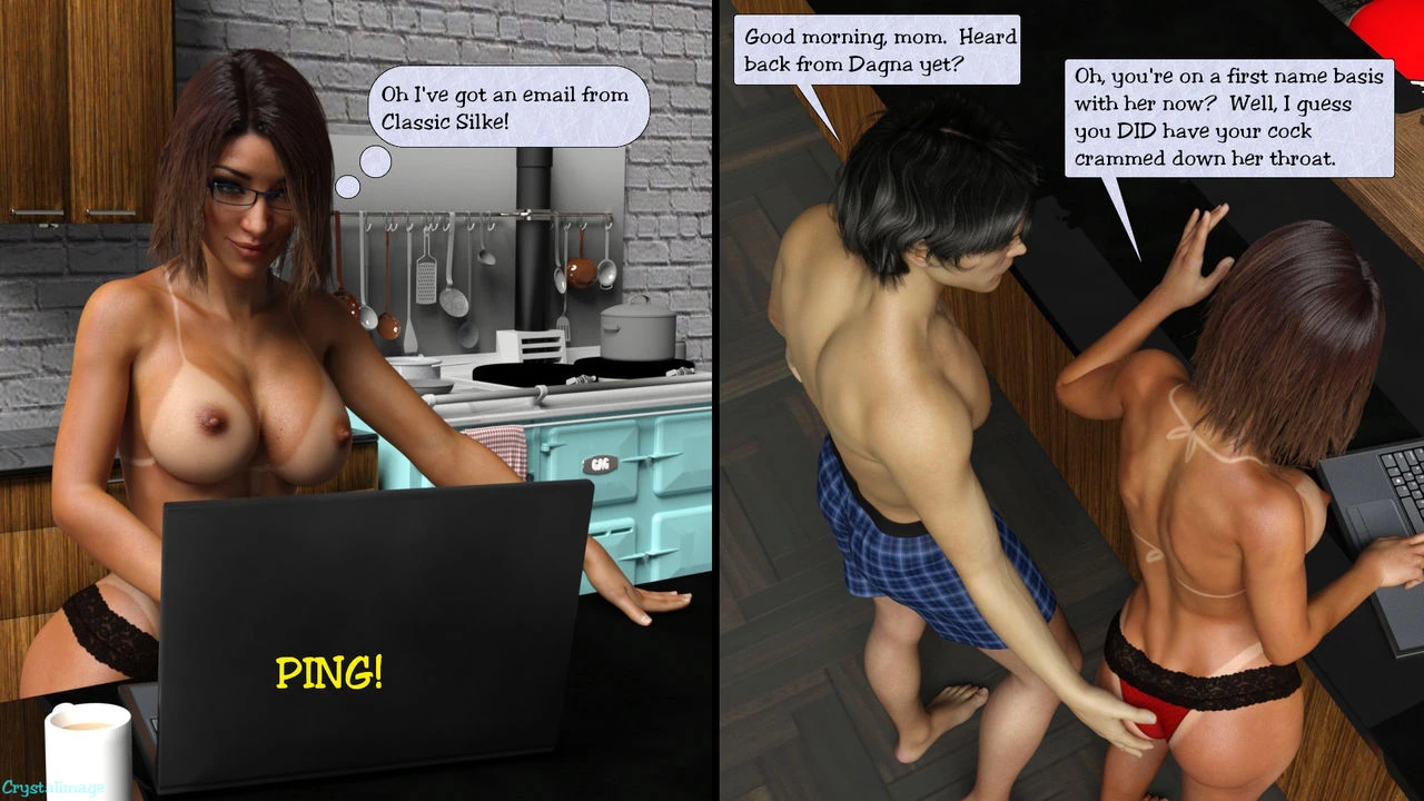 Classic Silke 9 - Breaking and Entering porn comic picture 7