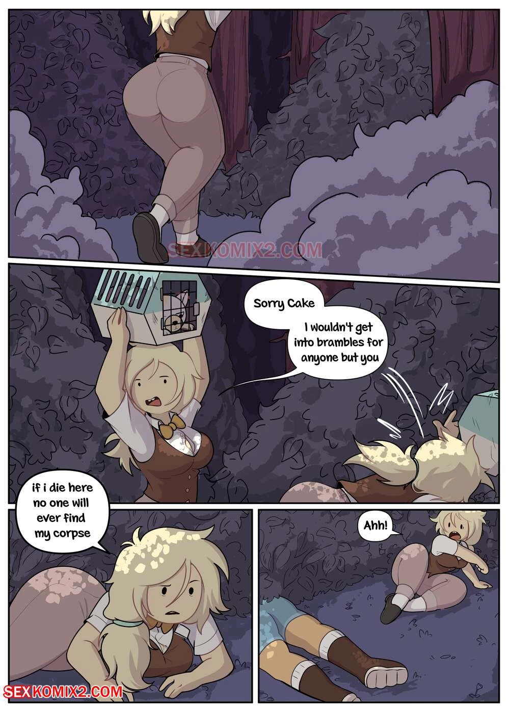 Fionna and hunter porn comic picture 2