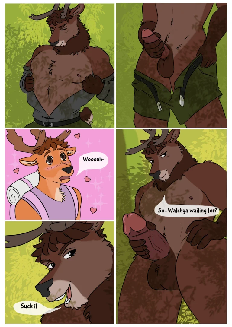 Forest Romp porn comic picture 14