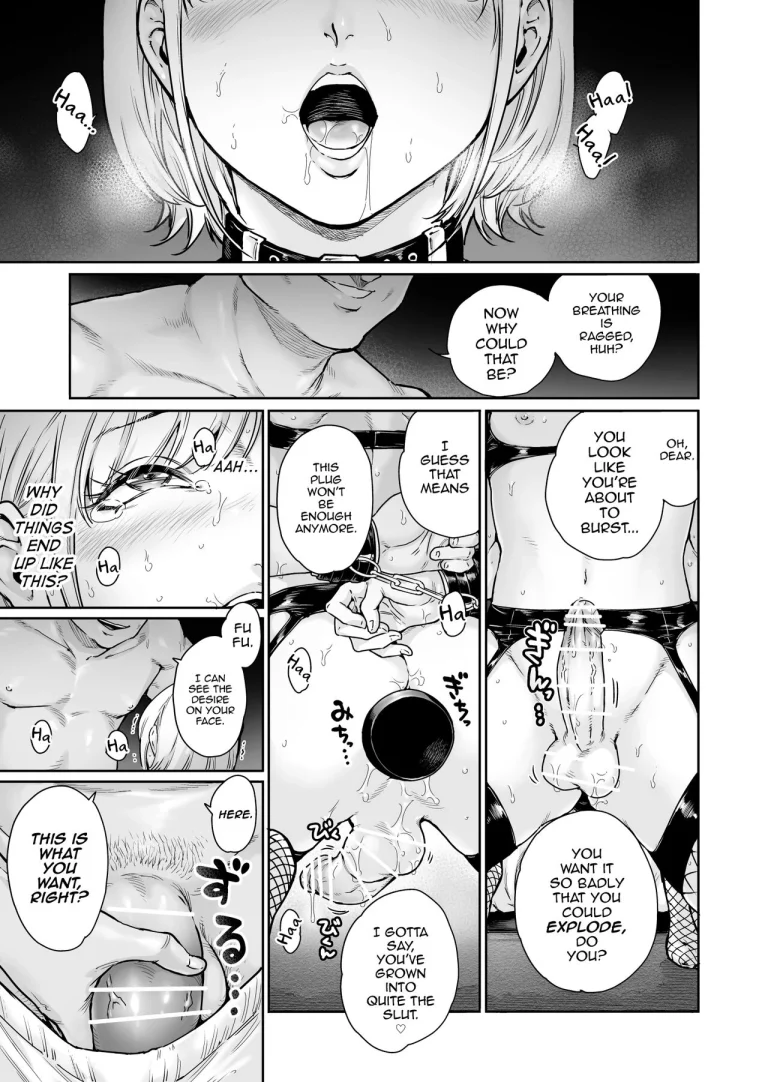 Holic～Ojisama no Gokubuto Chuudoku ni Otosarechaimashita porn comic picture 2