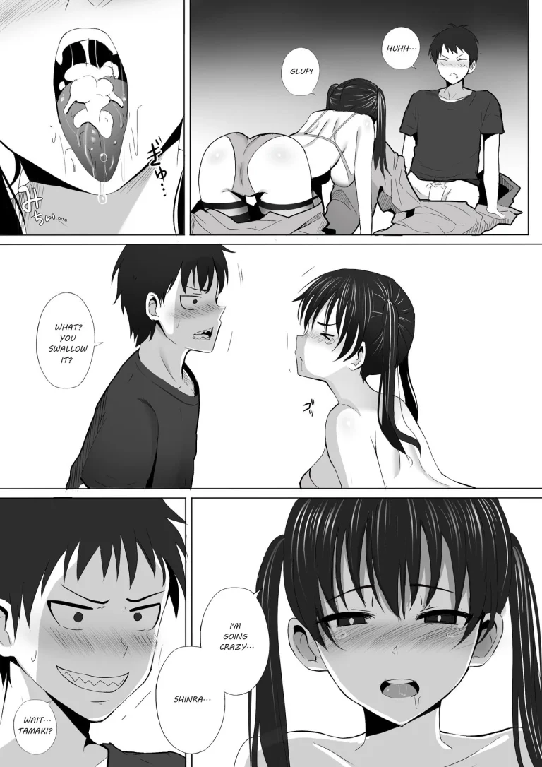 Honoo Neko no Ongaeshi porn comic picture 9
