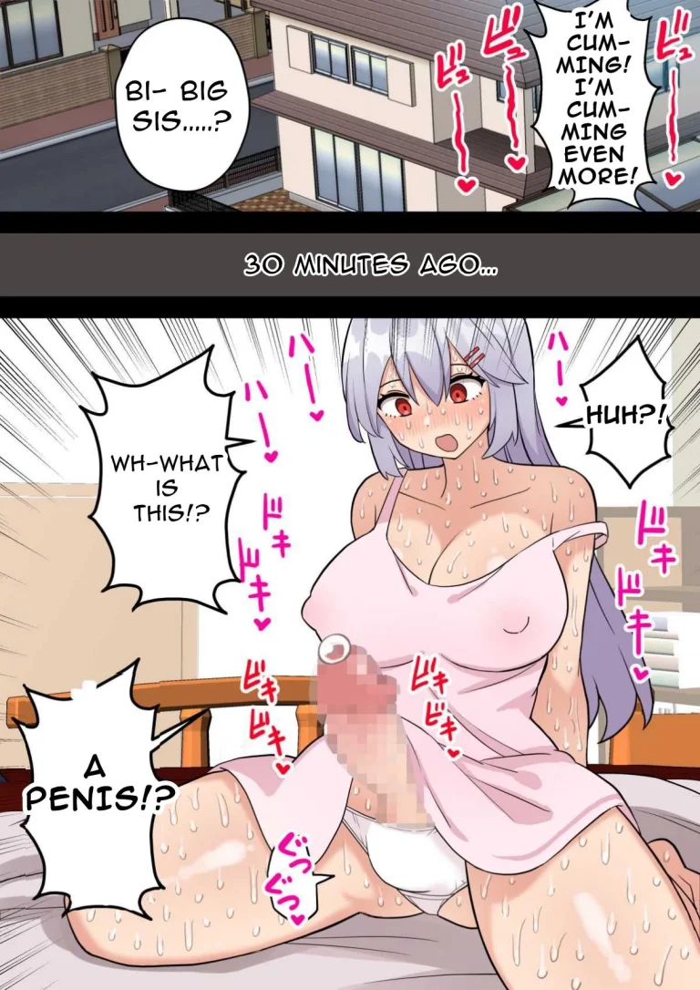 One Day, I Want To Be My Big Sister's Onahole | Imouto o Chinpo Case ni Suru Koutense Futanari Onee-chan no Hanashi porn comic picture 6