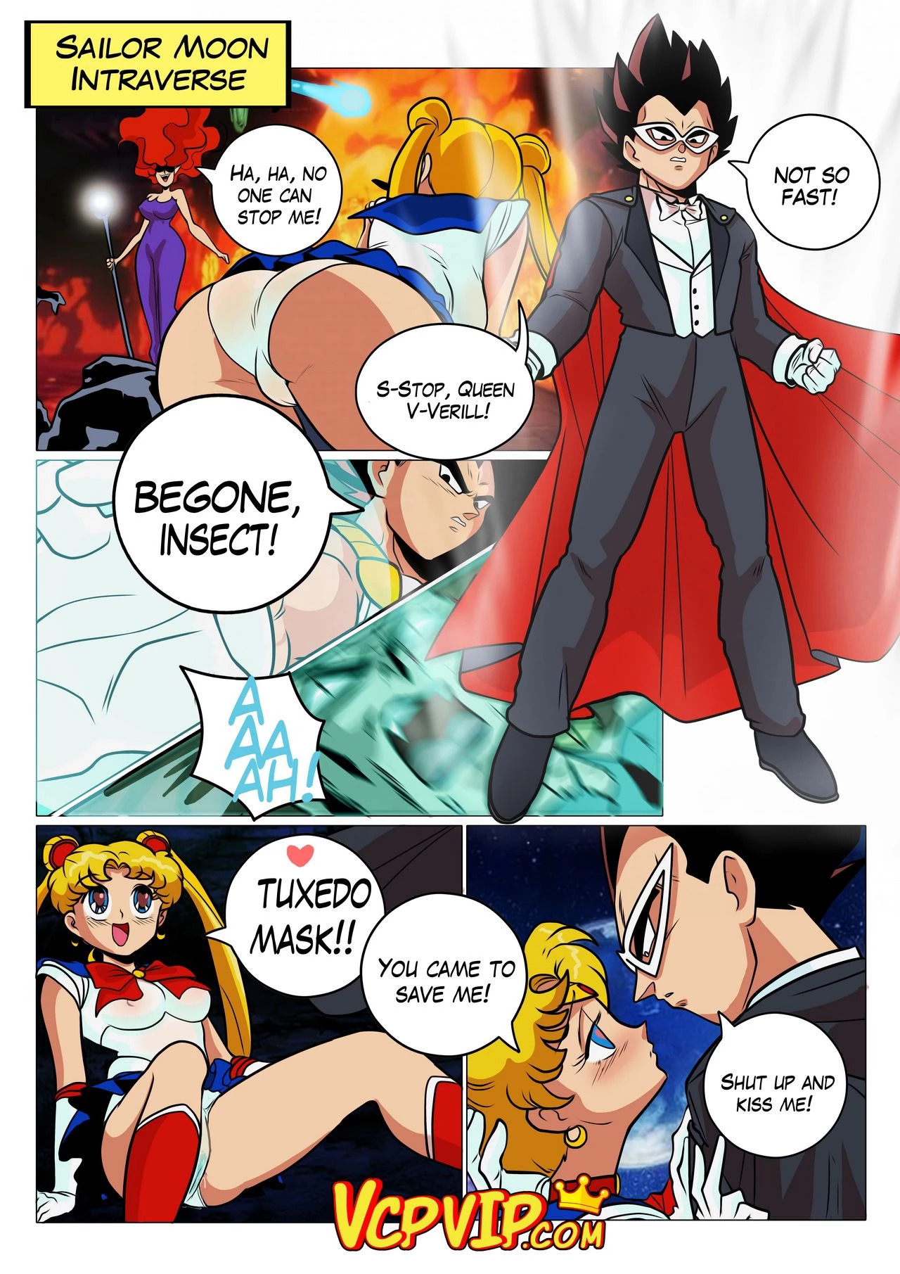 Prince Saiyan Intradimensional Traveller porn comic picture 6