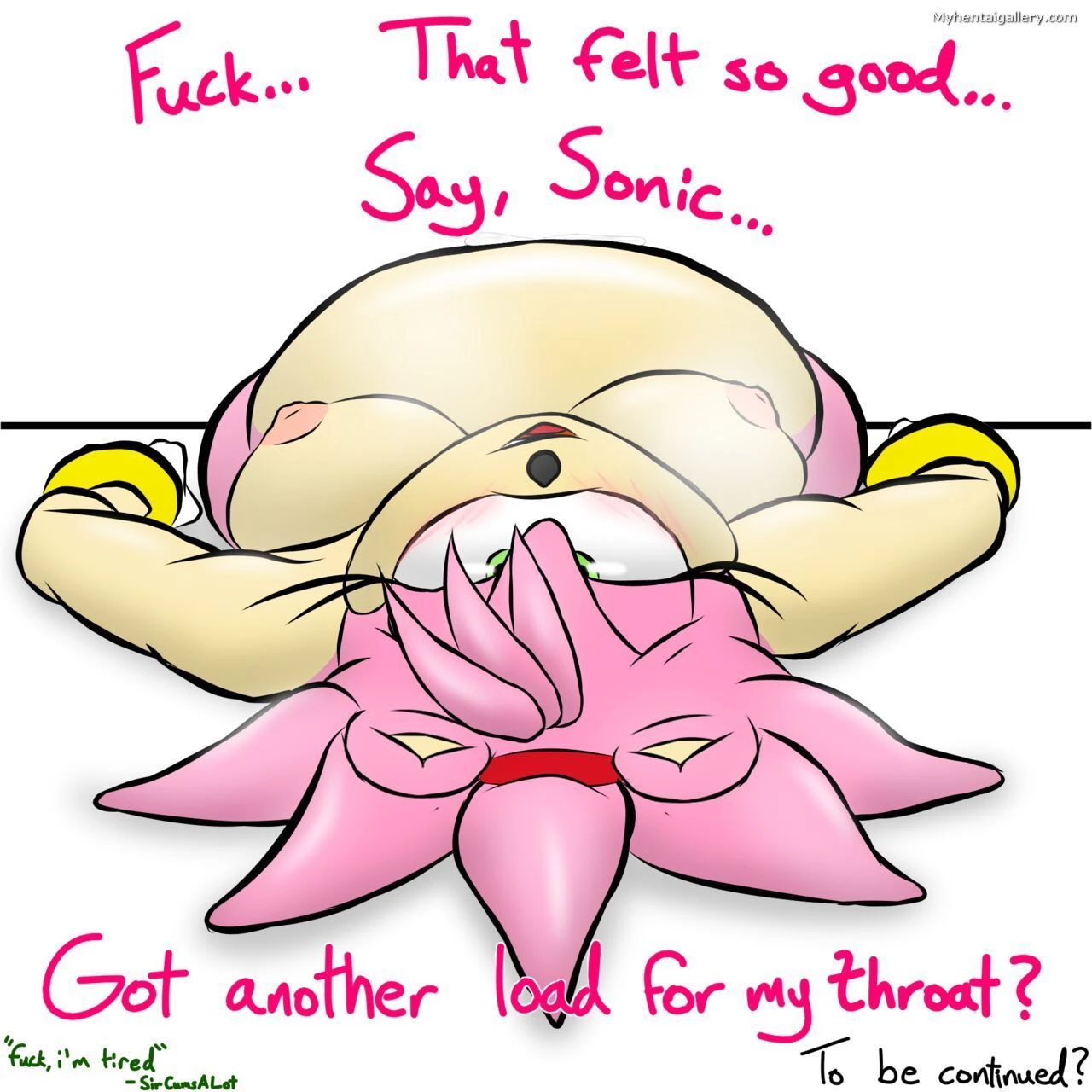 Sonic and Amy porn comic picture 13