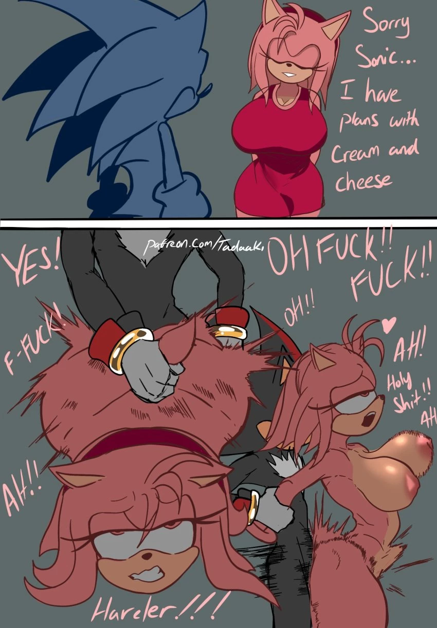 Tadaaki sonic collection porn comic picture 11