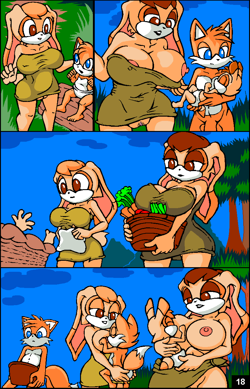 Tails Mishap Paradice + Tails Mishap Sailing ( complete story ) porn comic picture 21