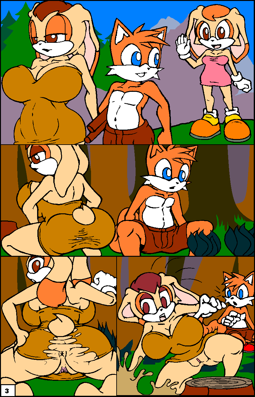Tails Mishap Paradice + Tails Mishap Sailing ( complete story ) porn comic picture 4