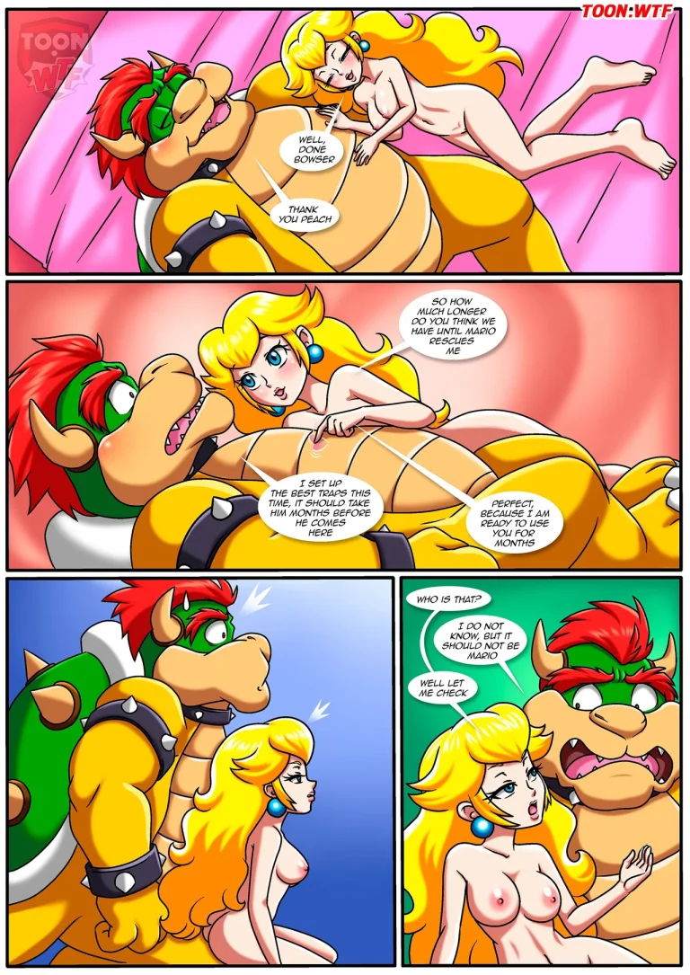 The Mushroom Kingdom Secret porn comic picture 15
