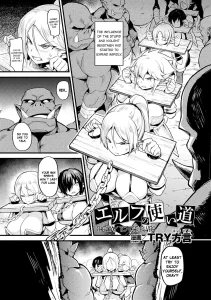 The Way to Use Elves | Elf no Tsukaimichi porn comic picture 1
